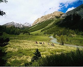 数据挖掘者爆料：《糖豆人》将联动“初音未来”