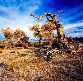 GB新游《Super Dassalo Land》公布 2D横版动作