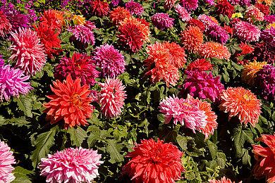 科幻独立游戏《逐光星火》现已正式发售